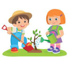 A plastic bad picture